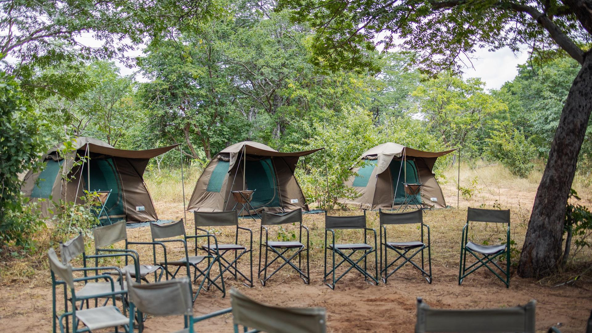 camping in chobe national park
