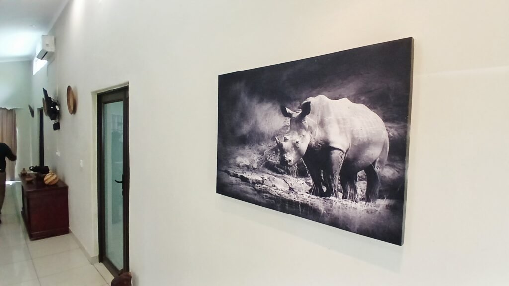 Wildlife photograph 13