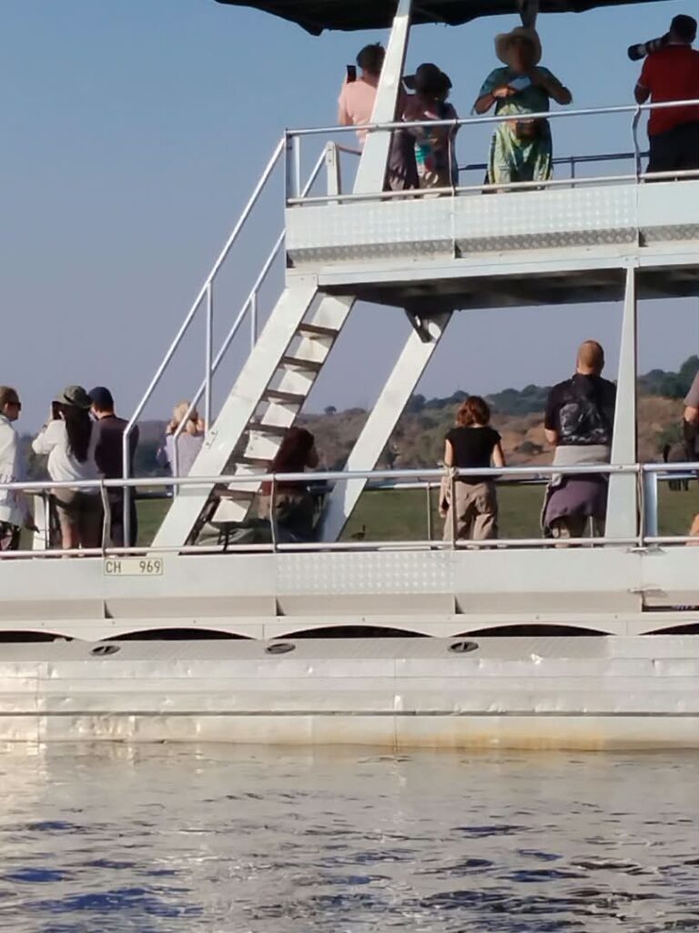 Chobe wildlife or river cruise photograph